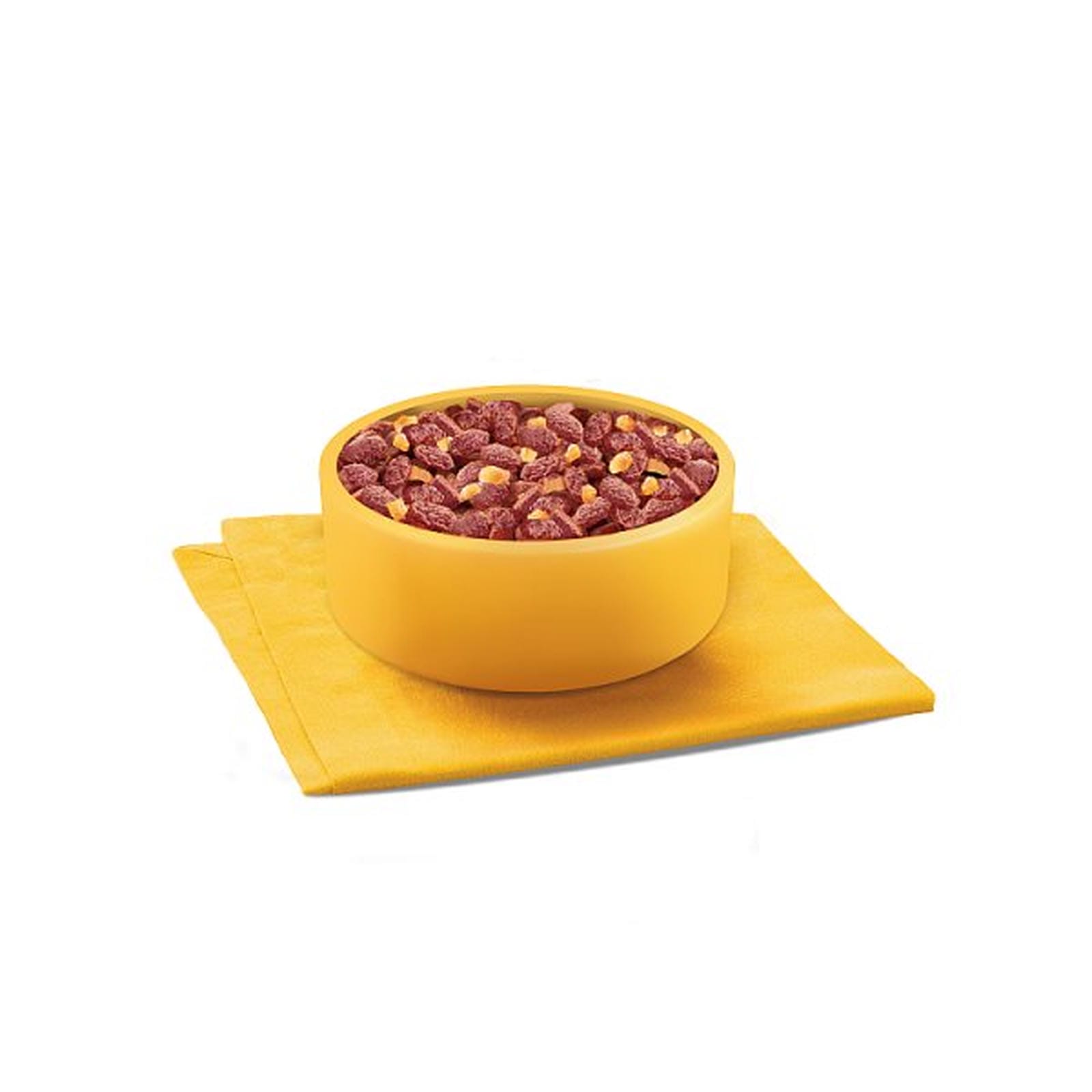 PEDIGREE® Adult Wet Dog Food Mixed Selection in Jelly 12 x 100g Pouch