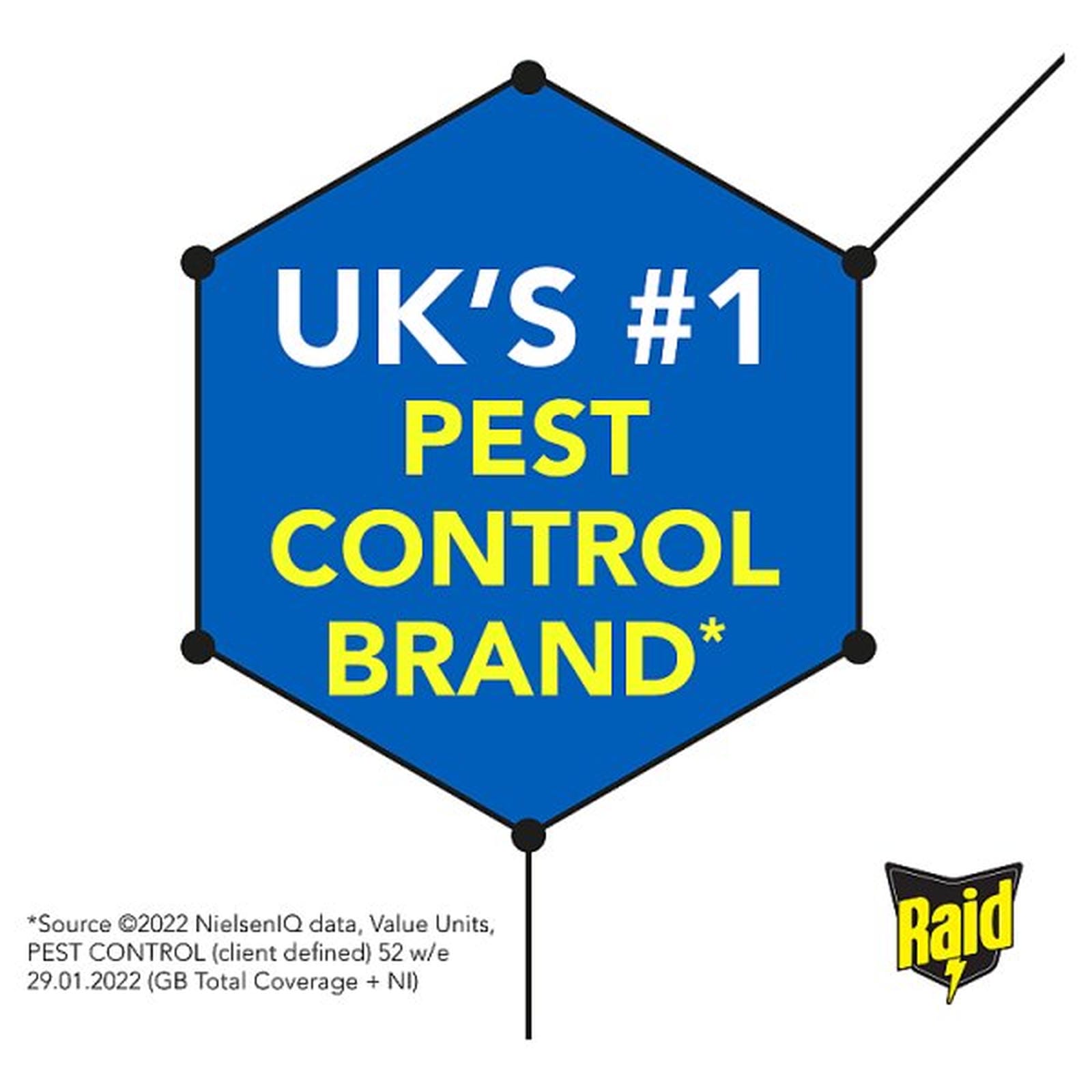 Raid Rapid Action Wasp, Mosquito & Fly Killer Aerosol Spray 300ml