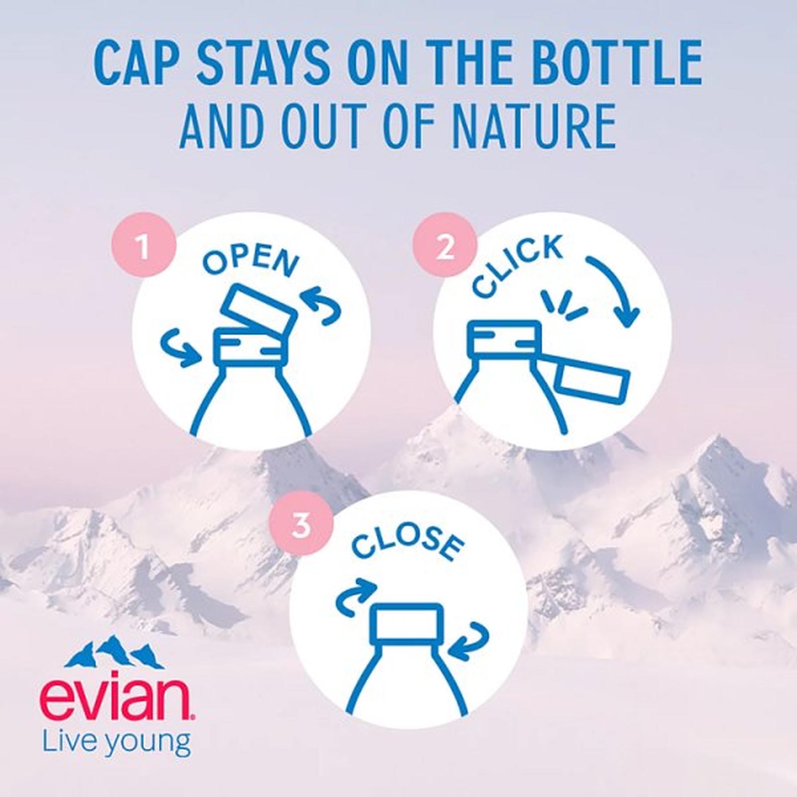 evian Still Natural Mineral Water 24 x 50cl
