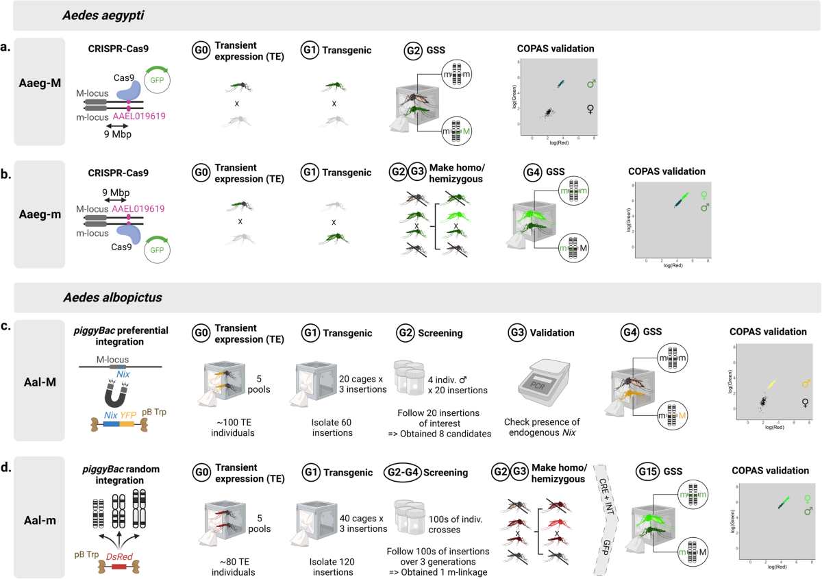 Jena To Go 100 White Paper Plates – 1 x 100s