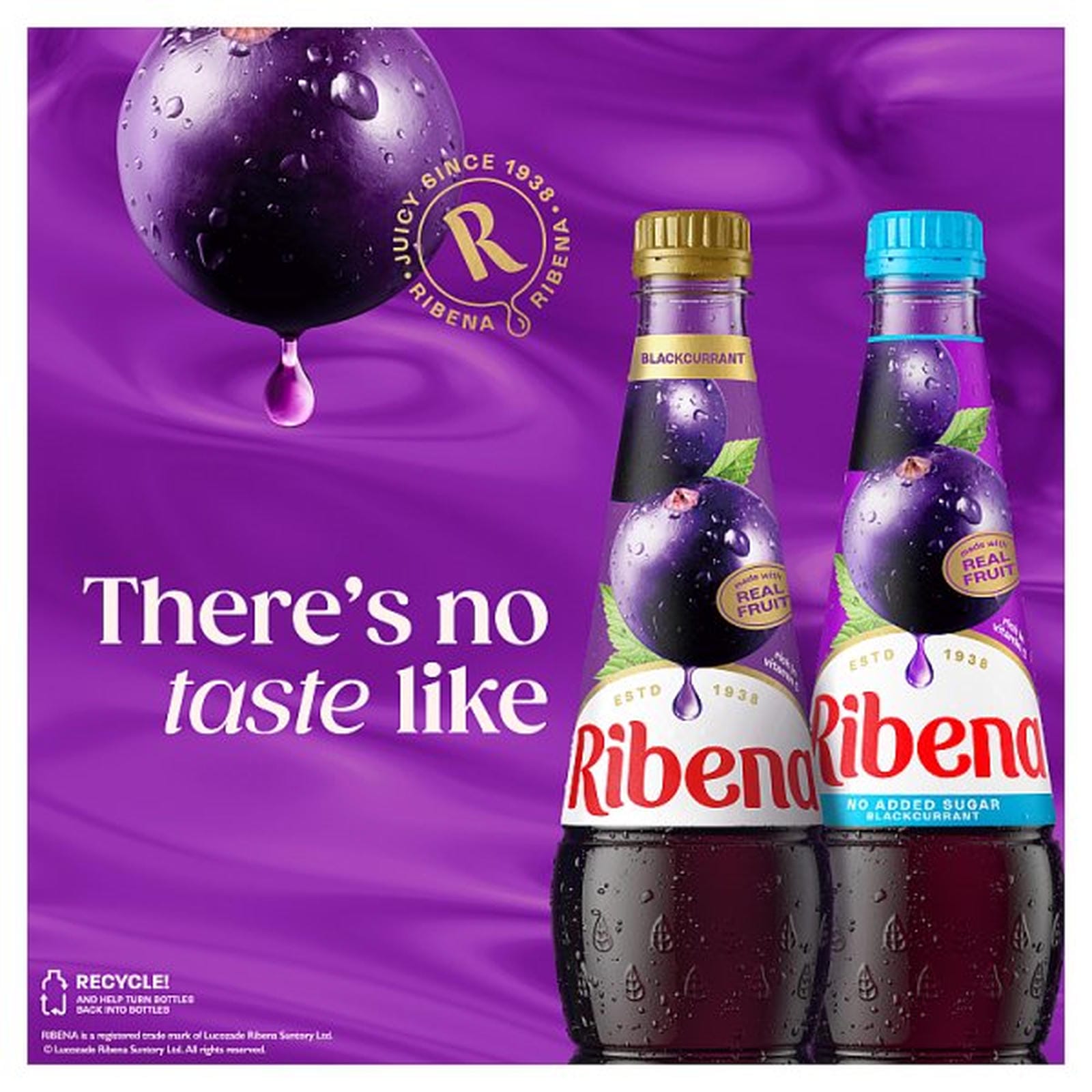 Ribena Blackcurrant Squash 600ml PETML £P £1.69