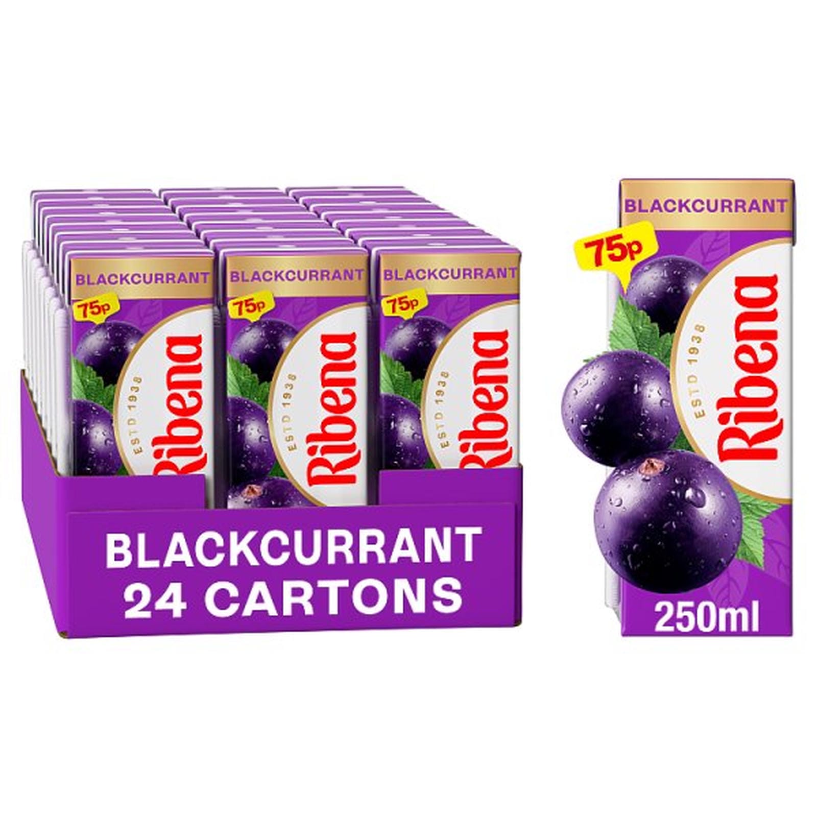 Ribena Blackcurrant Juice Drink Carton 250ml PMP 75p