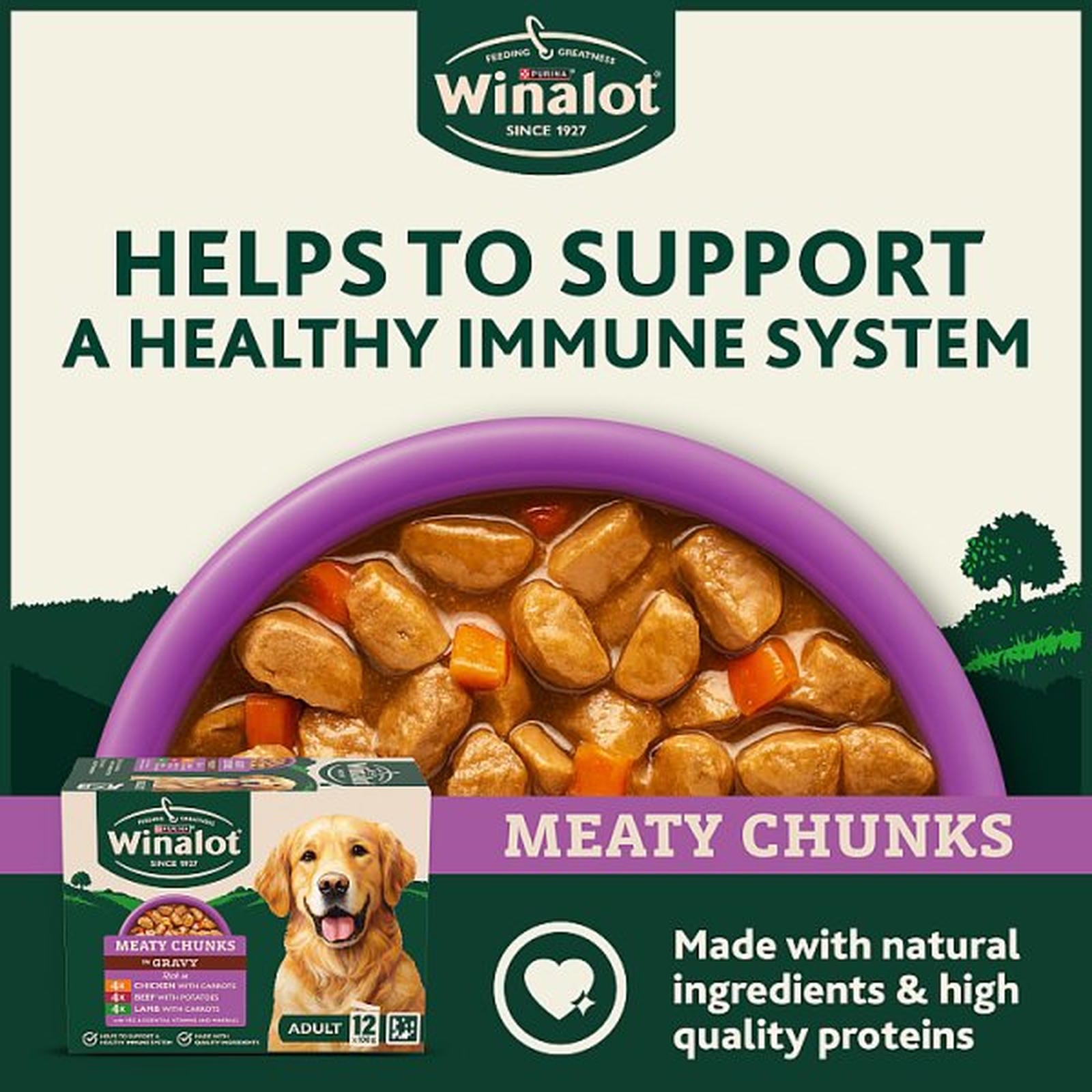 WINALOT Meaty Chunks Mixed in Gravy Wet Dog Food 12x100g PMP