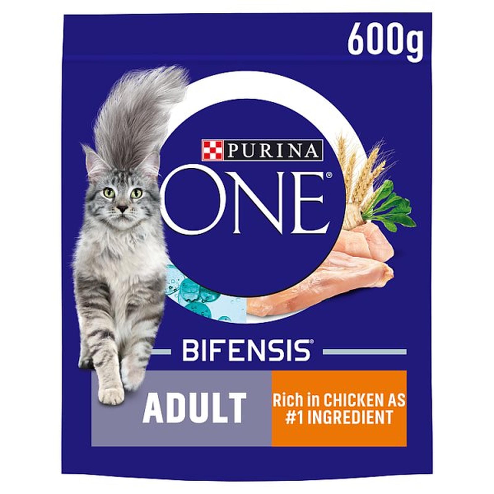 PURINA ONE Chicken Dry Cat Food 600g PMP