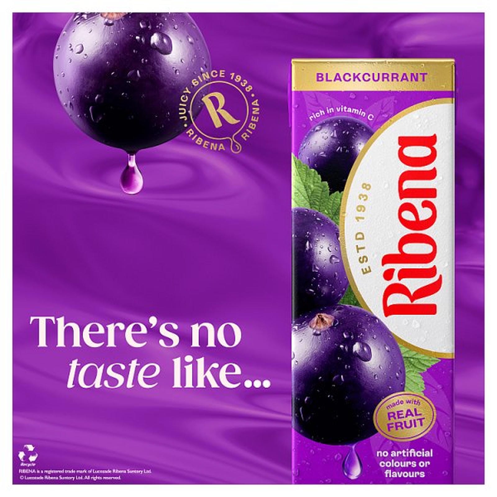 Ribena Blackcurrant Juice Drink Carton 250ml