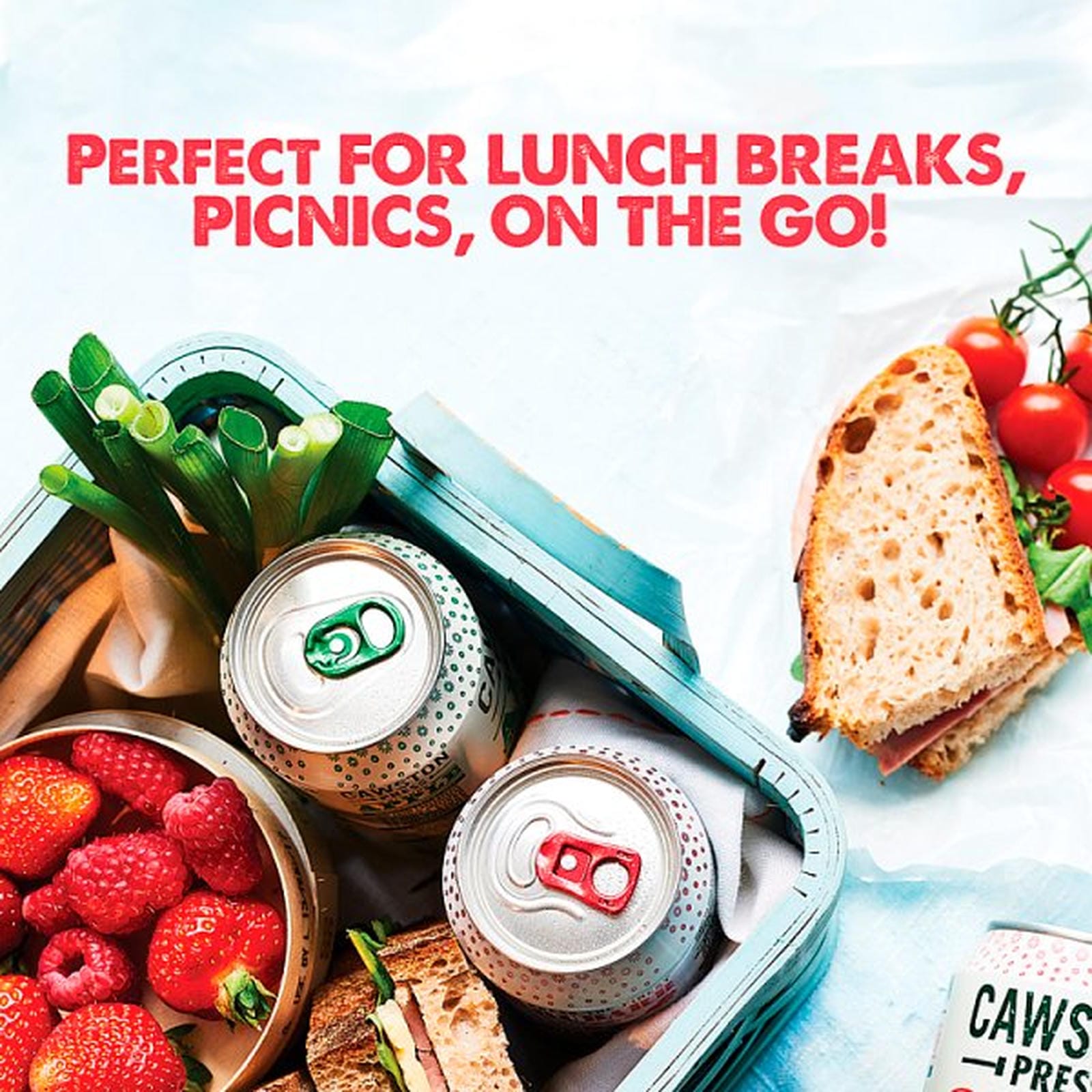 Cawston Press Sparkling Rhubarb 330ml