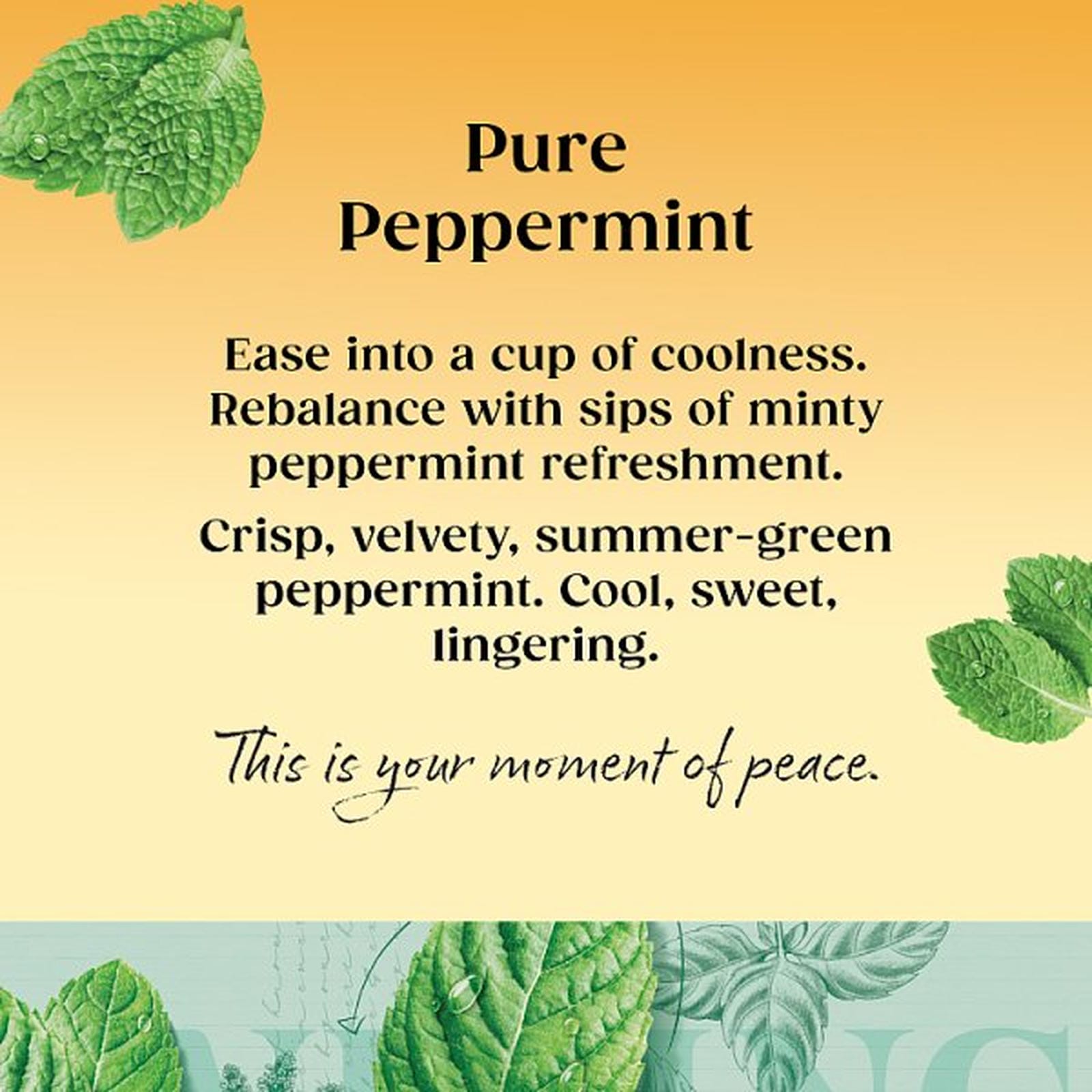 Twinings Pure Peppermint 20 Tea Bags 40g