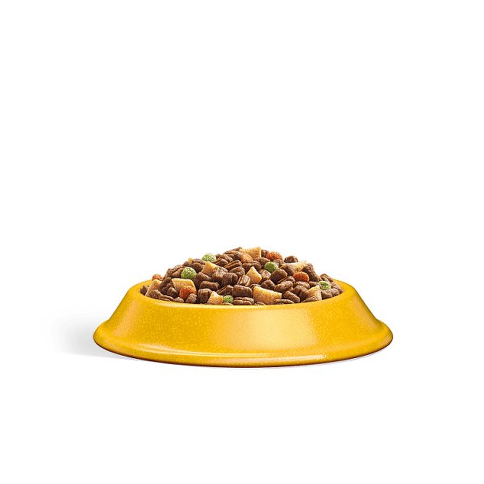 WHISKAS 1+ Dry CHICKEN Cat Food 300g