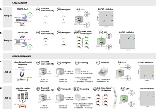 Jena To Go 100 White Paper Plates – 1 x 100s