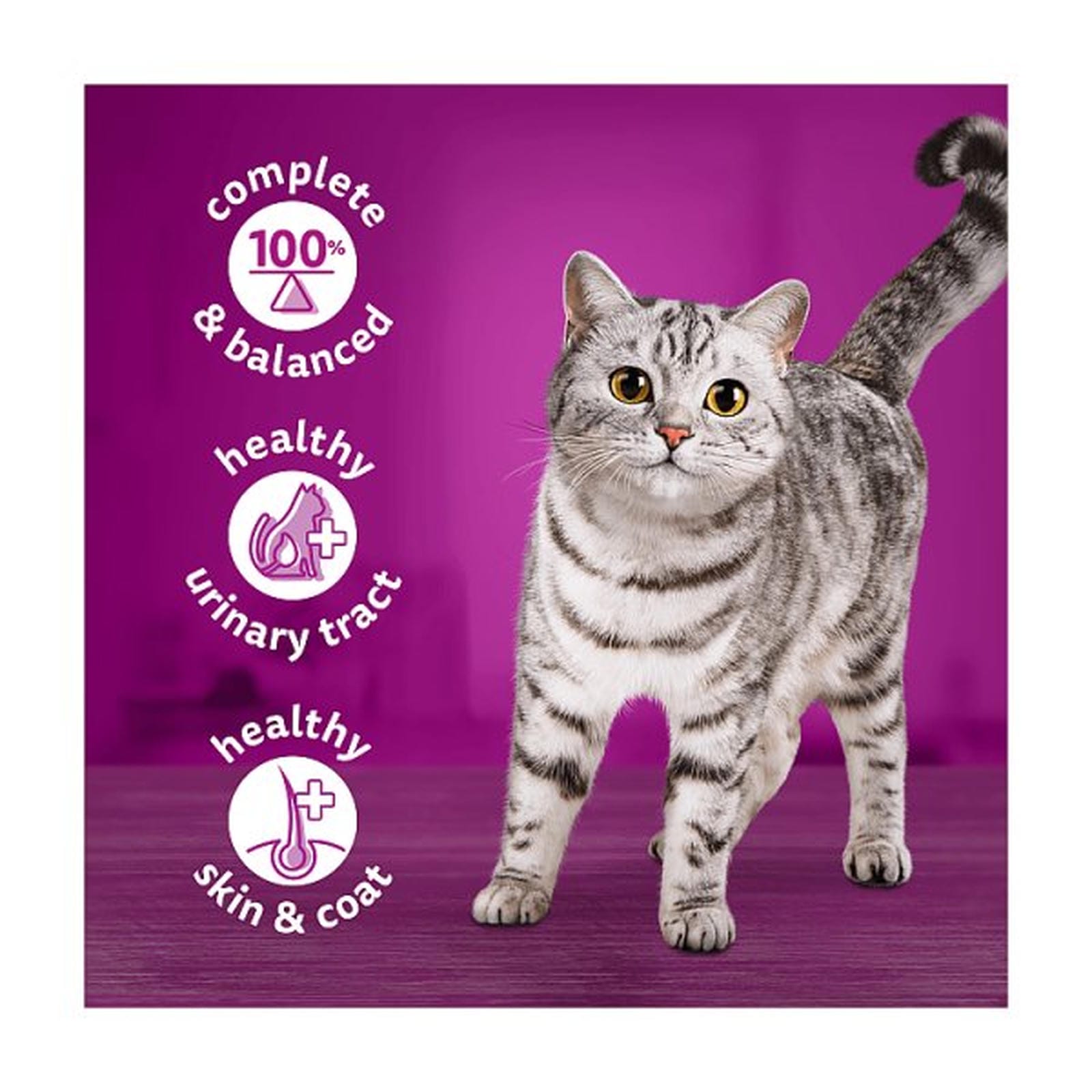 Whiskas Adult Wet Cat Food Salmon in Jelly Tin 400g