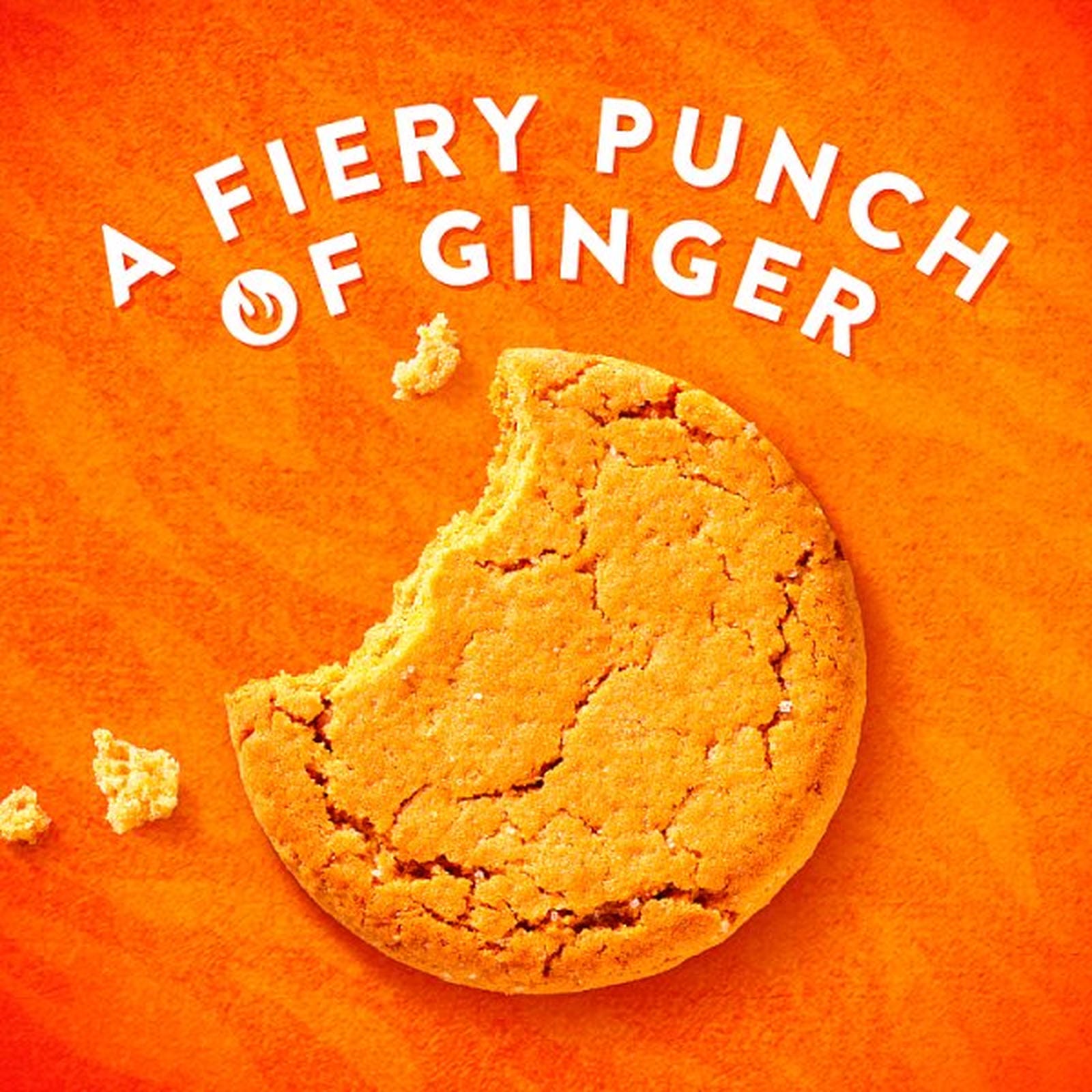 McVitie's Ginger Nuts Biscuits 250g PMP £1.69