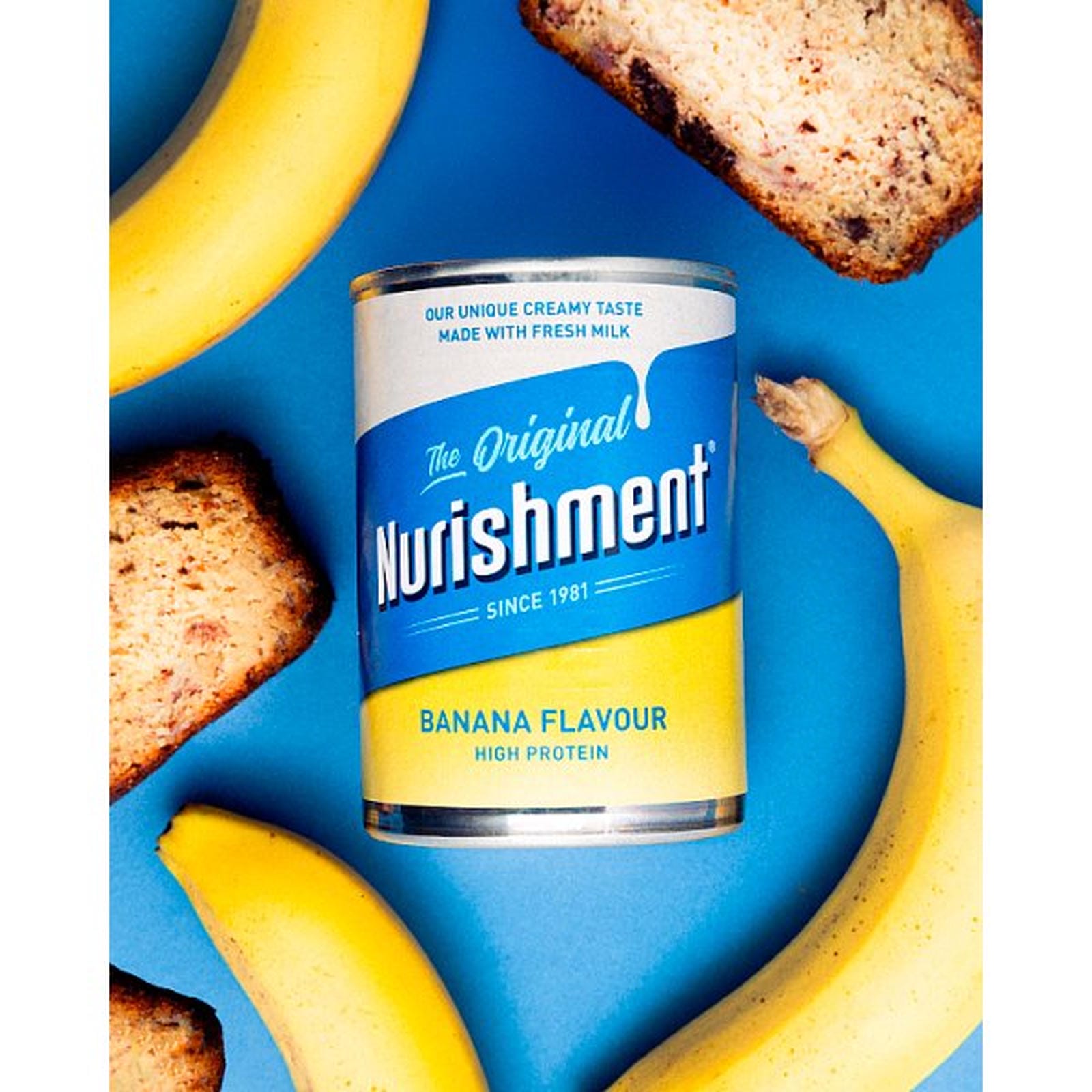 Nurishment The Original Banana Flavour 400g