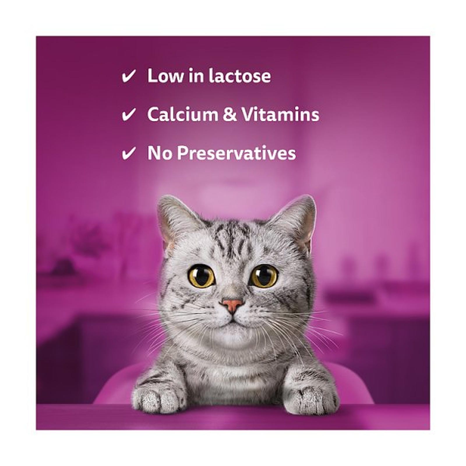 Whiskas Kitten Cat Milk Bottle 200ml
