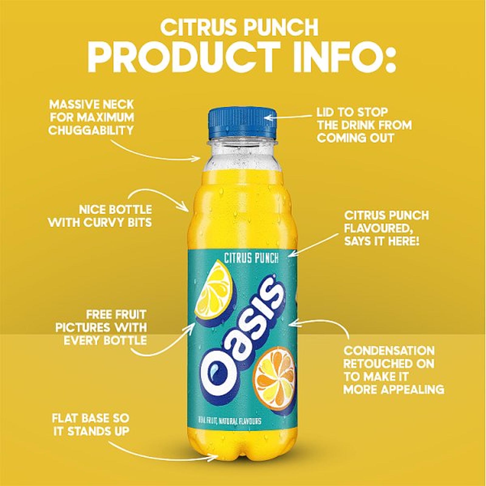Oasis Citrus Punch 12 x 500ml