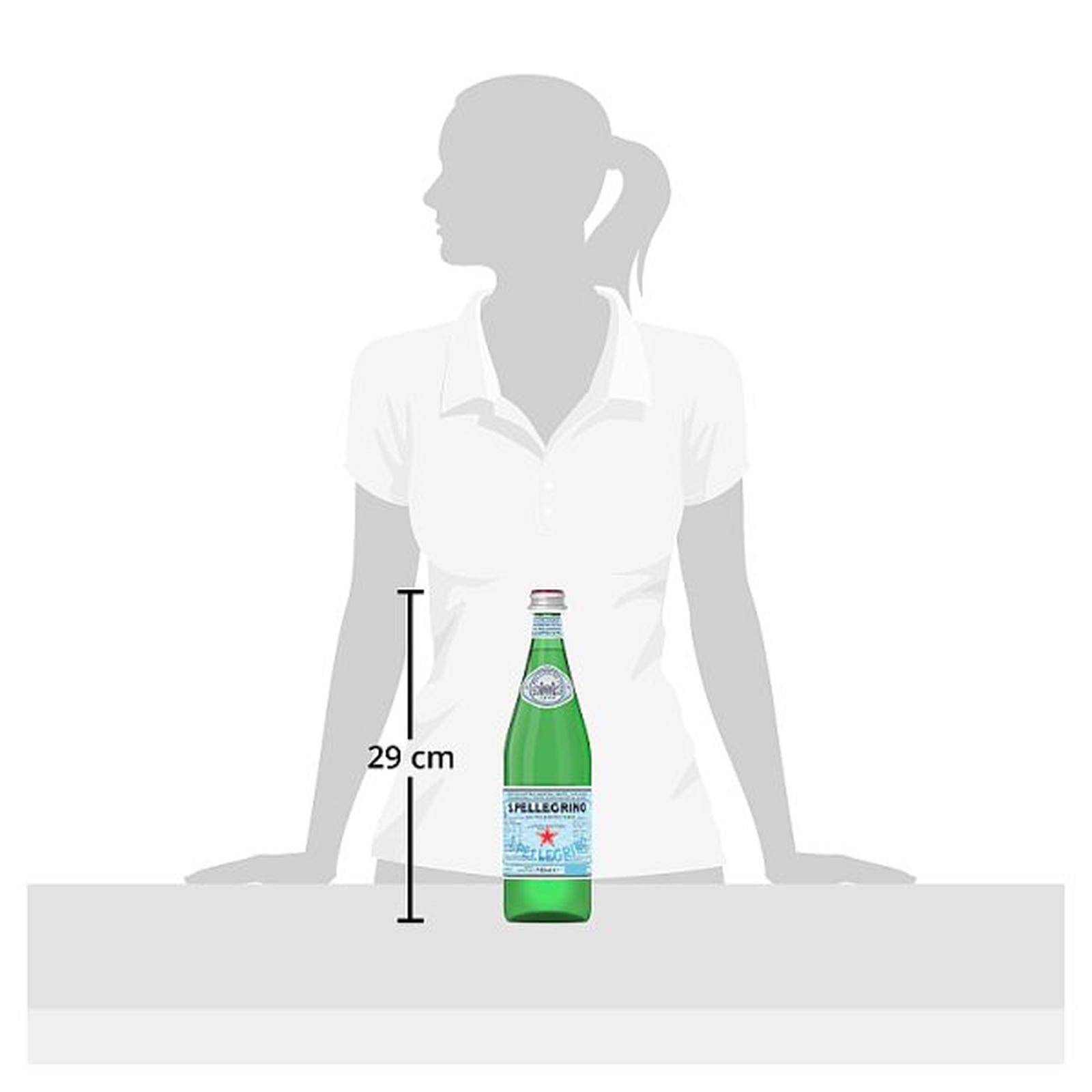 San Pellegrino Sparkling Natural Mineral Water Glass 12x750ml