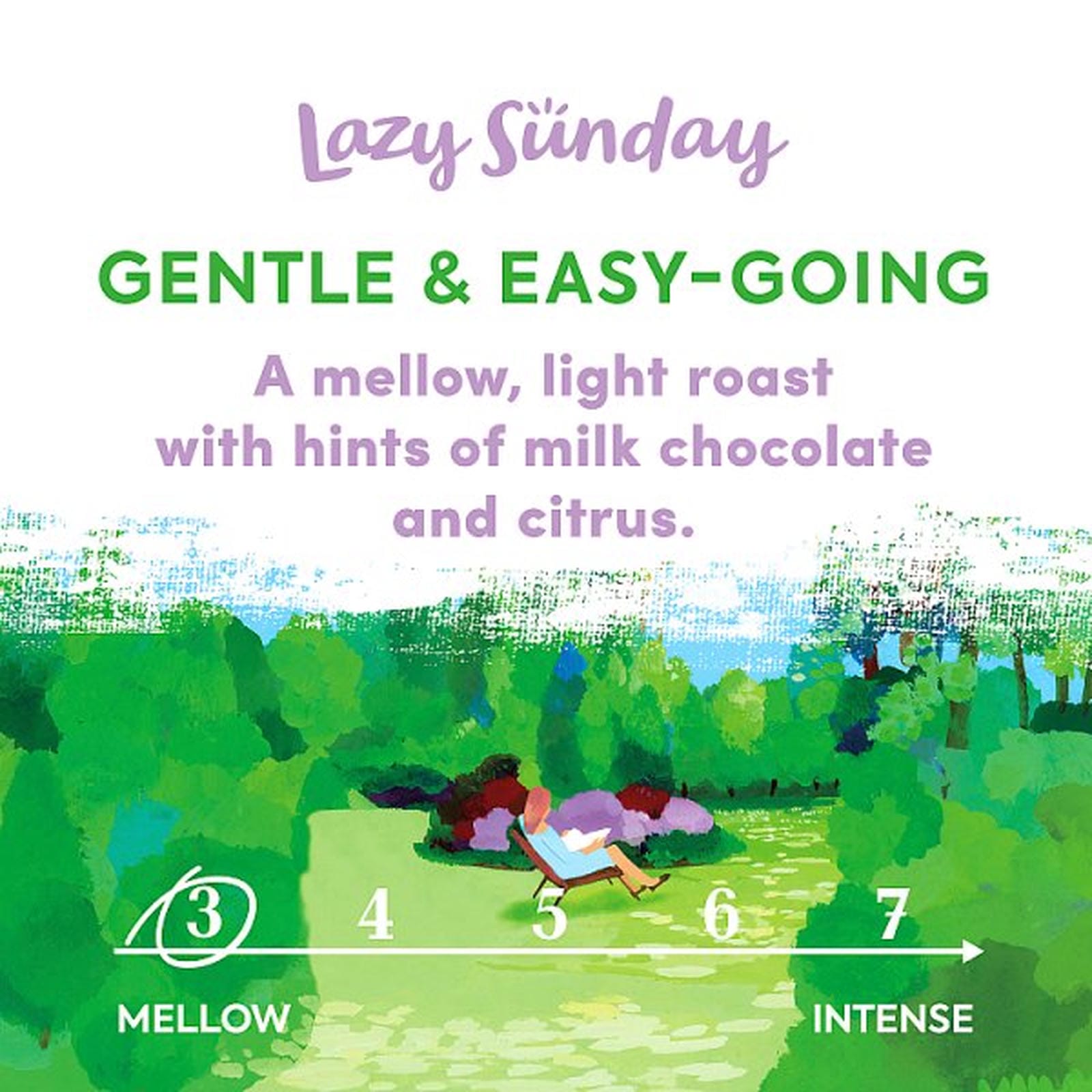 Taylors of Harrogate Lazy Sunday Roast Ground Coffee 200g