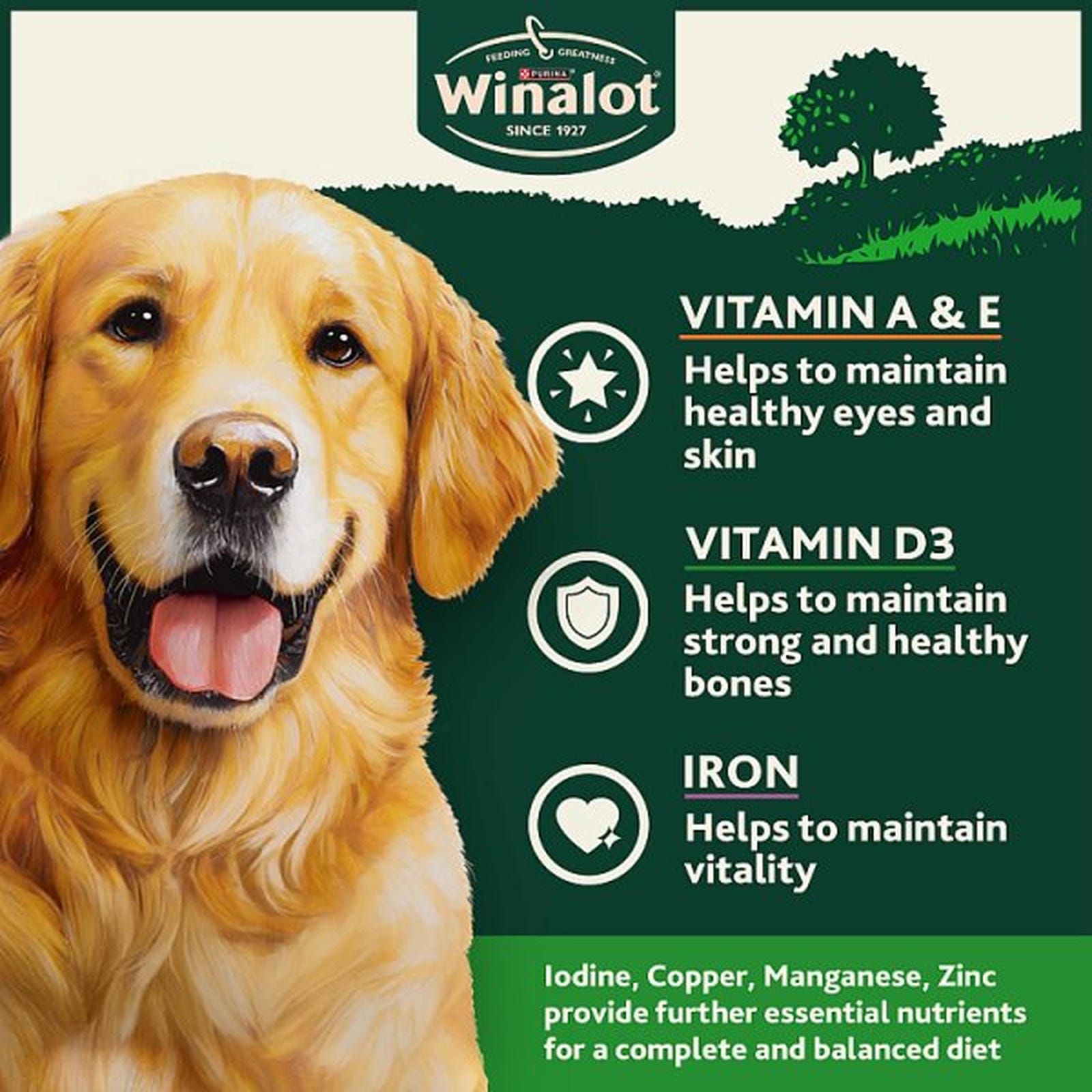 WINALOT Classics Mixed in Jelly Chicken Wet Dog Food 400g PMP