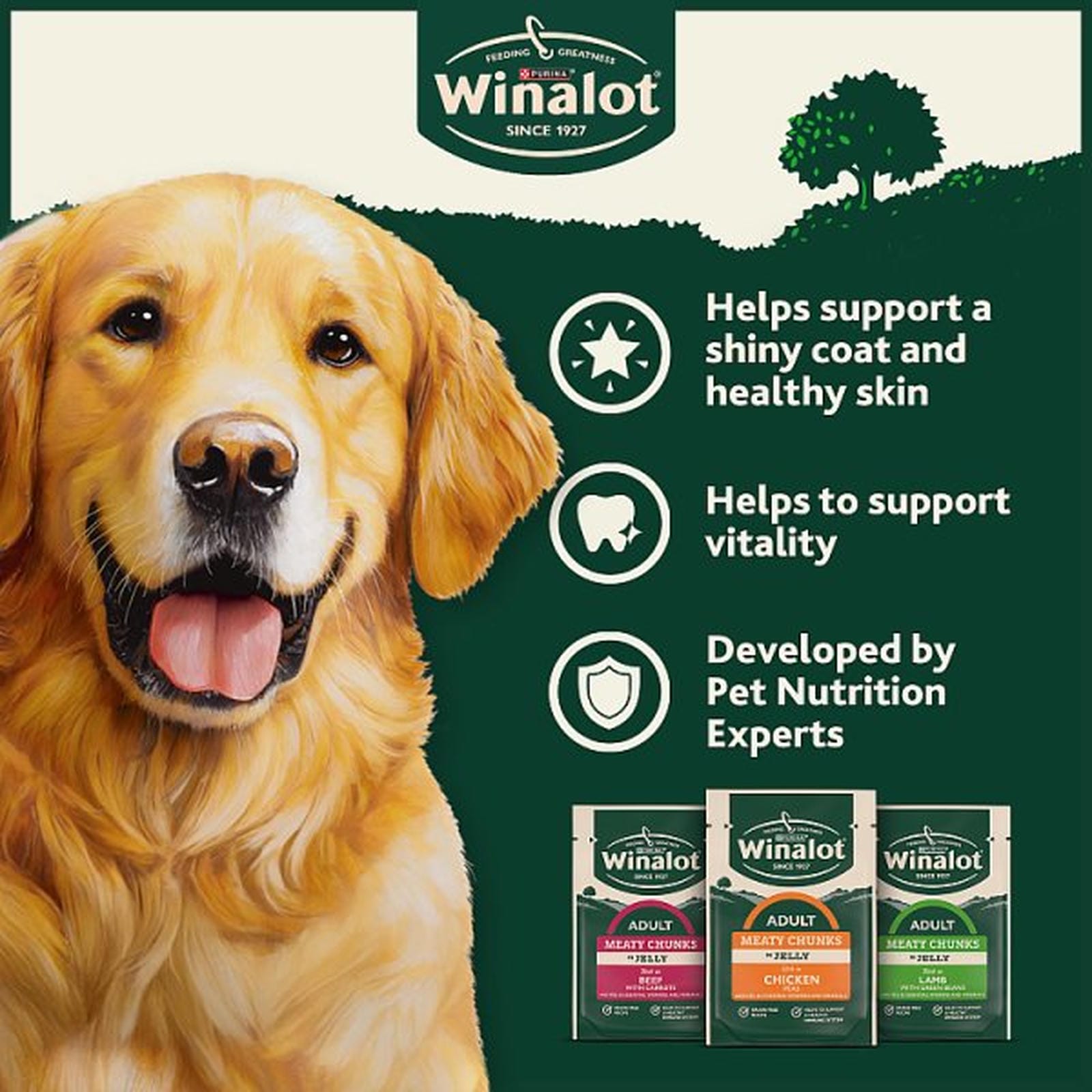 WINALOT Meaty Chunks Mixed in Jelly Wet Dog Food 12x100g PMP