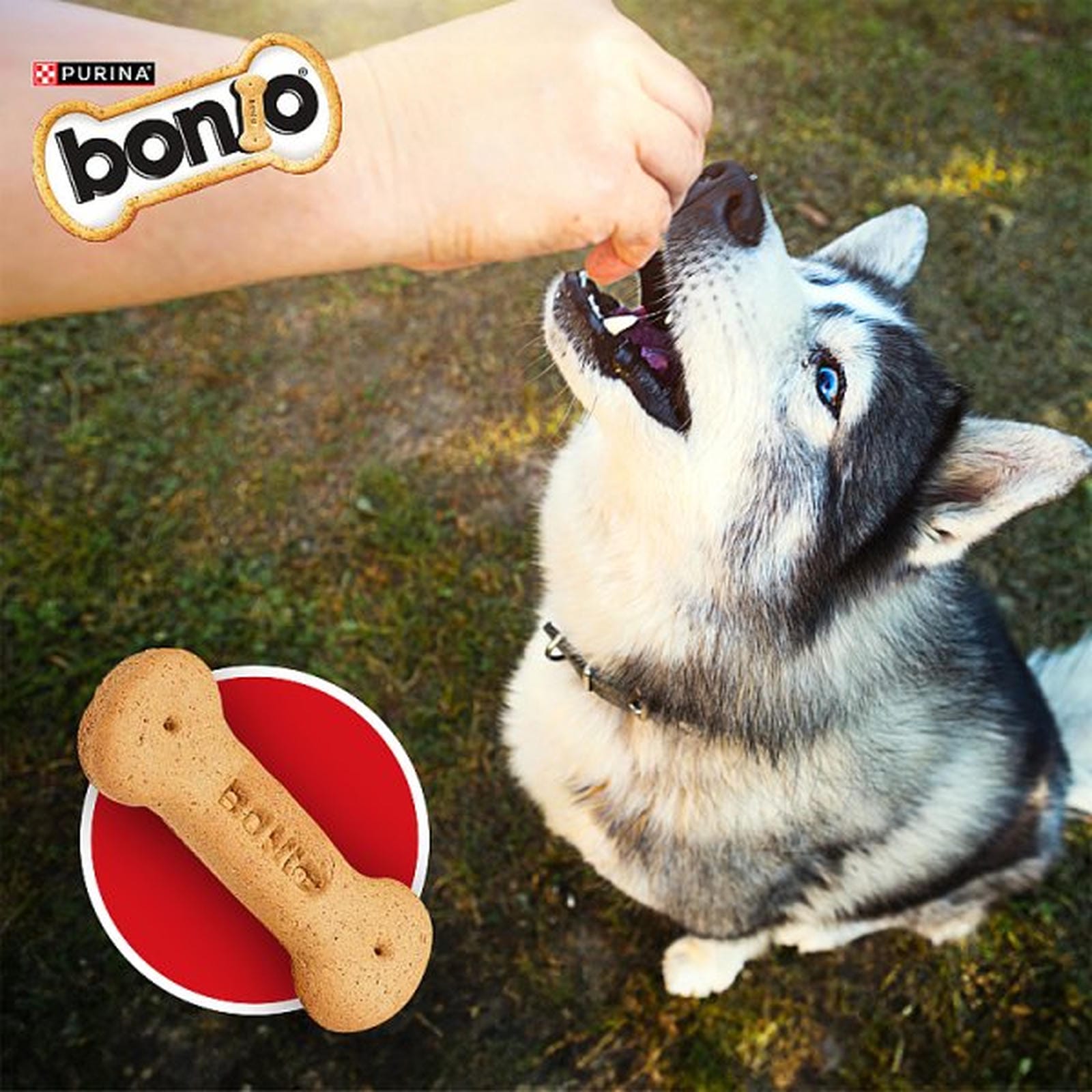 BONIO Original Dog Biscuits 650g