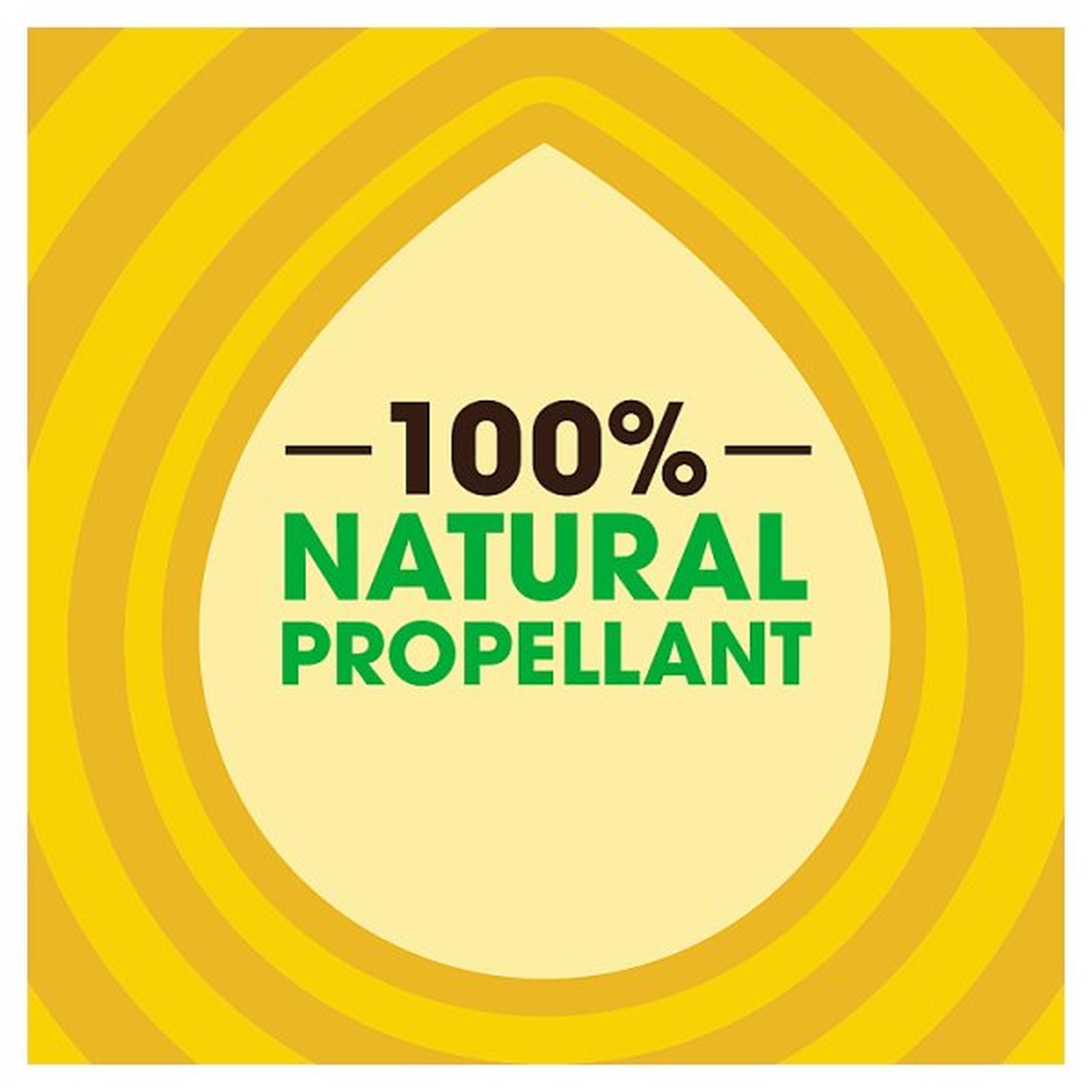 Pledge Wood Polish Aerosol, 250ml