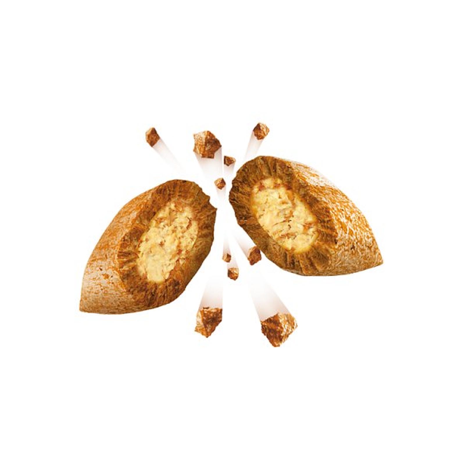 DREAMIES Cat Treat Biscuits with Catnip Flavour 60g